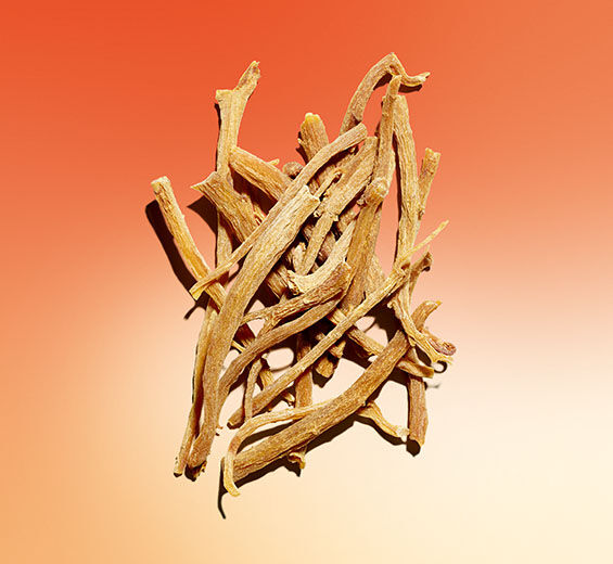 인삼-인삼 추출물-Panax ginseng root extract