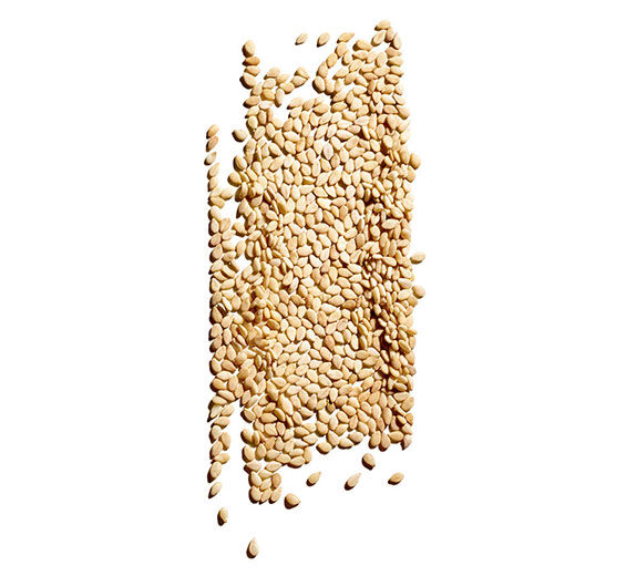 세사미-유기농 참깨 오일-Sesamum indicum (sesame) seed oil