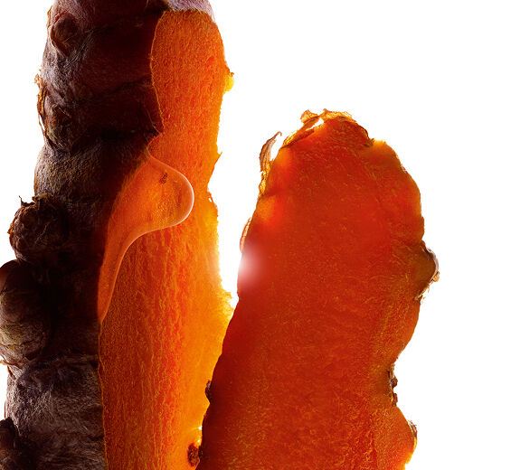 터머릭-터머릭 추출물-Curcuma longa (turmeric) root extract