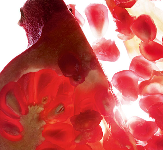 석류나무-석류 추출물(유기농 식물)-Punica granatum bark extract