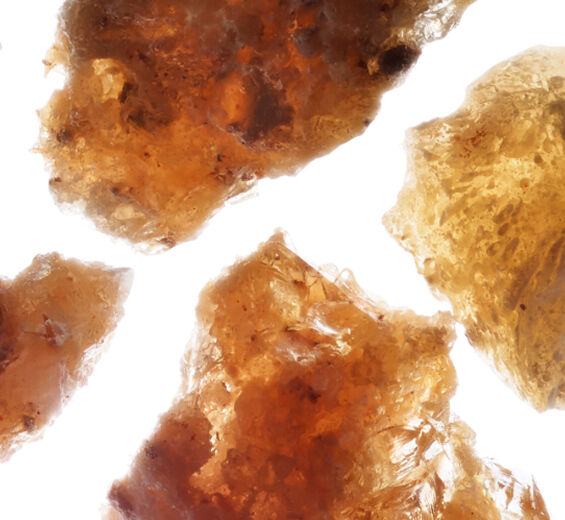 아라비아고무나무-아카시아 마이크로펄-Acacia Senegal gum