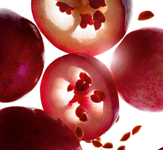 크랜베리-유기농 크랜베리 오일-Vaccinium macrocarpon (cranberry) seed oil