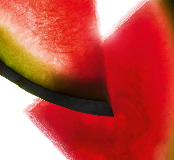 수박-수박 추출물-Citrullus lanatus (watermelon) fruit extract