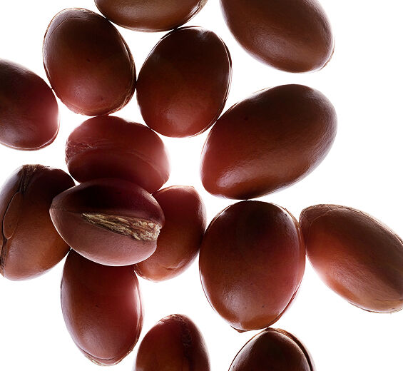 아르간 나무-아르간 오일-Argania spinosa kernel oil