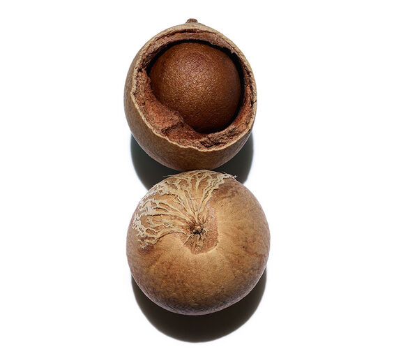 타마누-유기농 타마누 오일-Calophyllum inophyllum seed oil