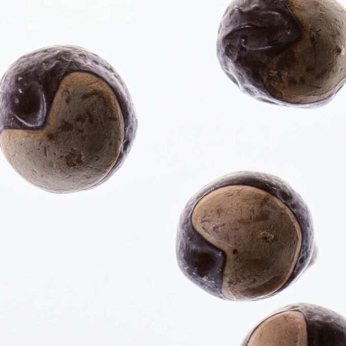 젤 뷔스트 리프트 페르메테