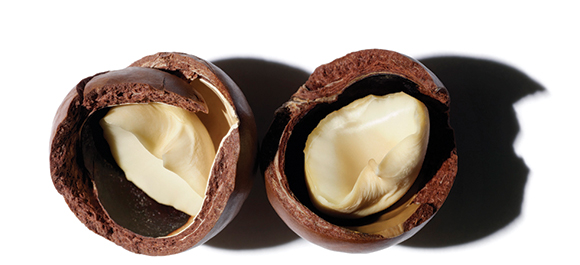 Un trésor de nutrition