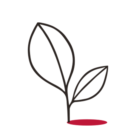 Clarins We Care - 천연성분브랜드
