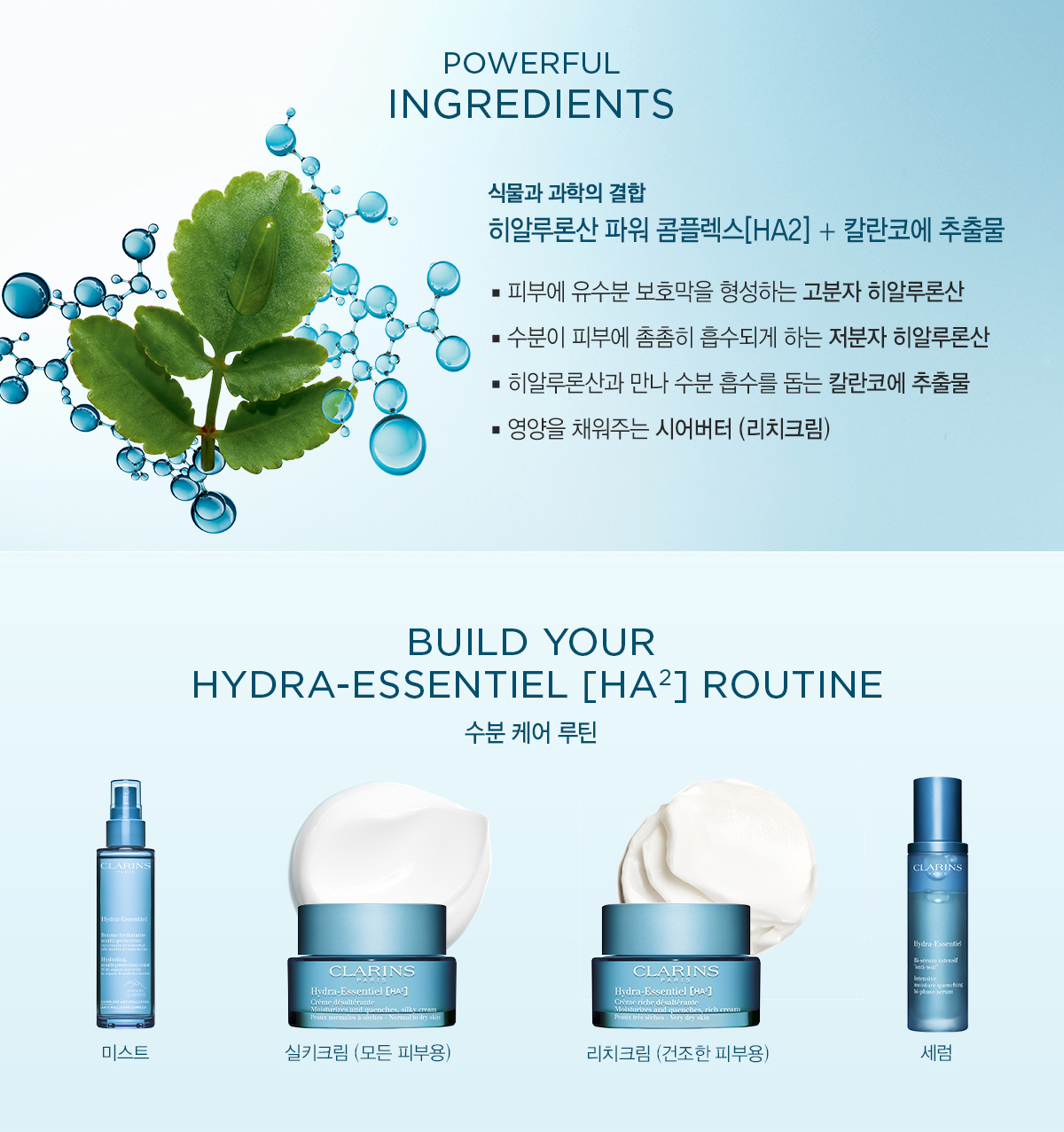 수분크림, 모이스처