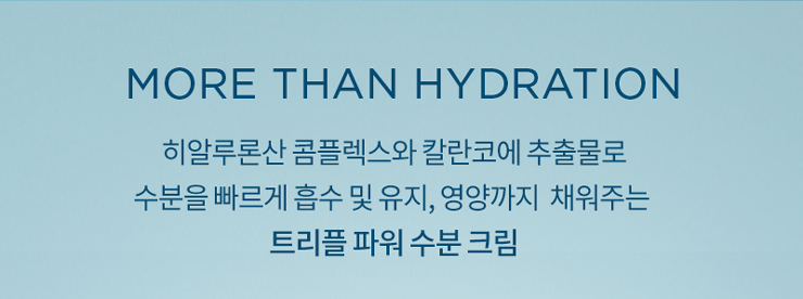 수분크림, 모이스처