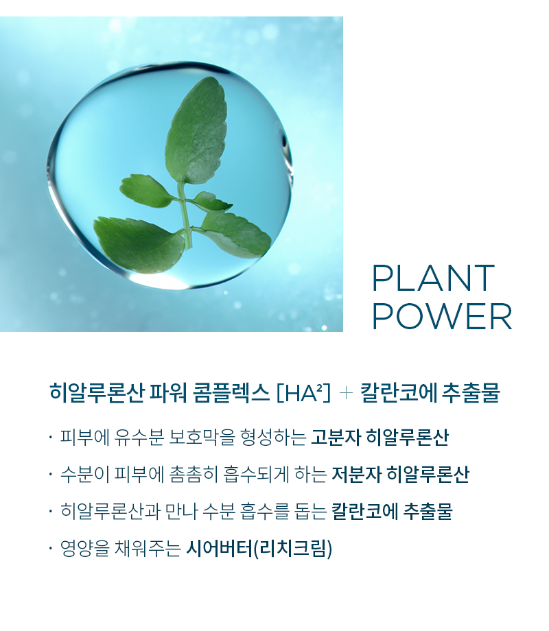 수분크림, 모이스처