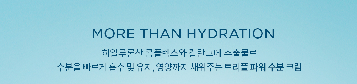 수분크림, 모이스처