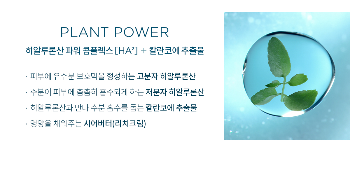 수분크림, 모이스처