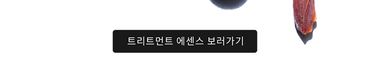 트리트먼트 에센스